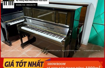 Đàn Piano cơ DIAPASON 132-BW [ CẬP NHẬT ]