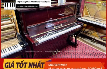 Đàn Piano cơ FRIEDRICH F102 [ CẬP NHẬT ]