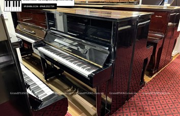 Đàn Piano cơ GERSHWIN NO500 (30***)