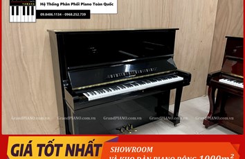 Đàn Piano cơ HORUGEL WG9 [ CẬP NHẬT ]