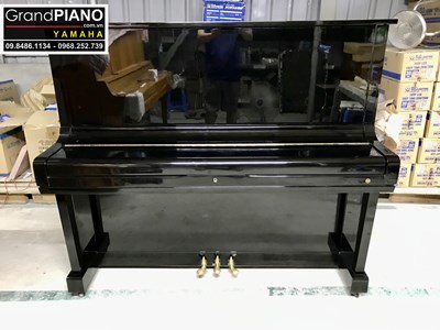   Đàn Piano cơ HORUGEL WG9
