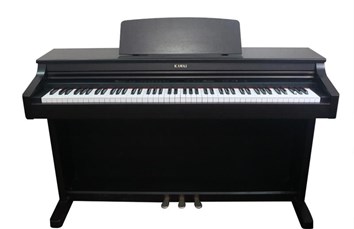 Đàn Piano KAWAI PN250