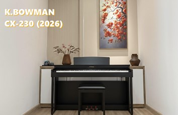 BOWMAN CX-230 BK (2026)