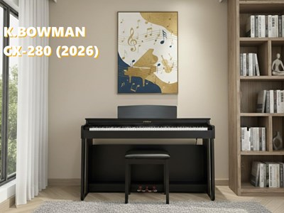 BOWMAN CX-280 BK (2026)