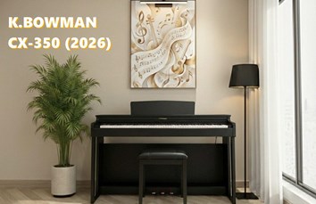 BOWMAN CX-350 BK (2026)