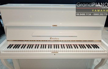 Đàn Piano LESTER L2