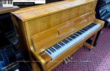 Đàn Piano cơ NIMEYER 114RP (F020XX)