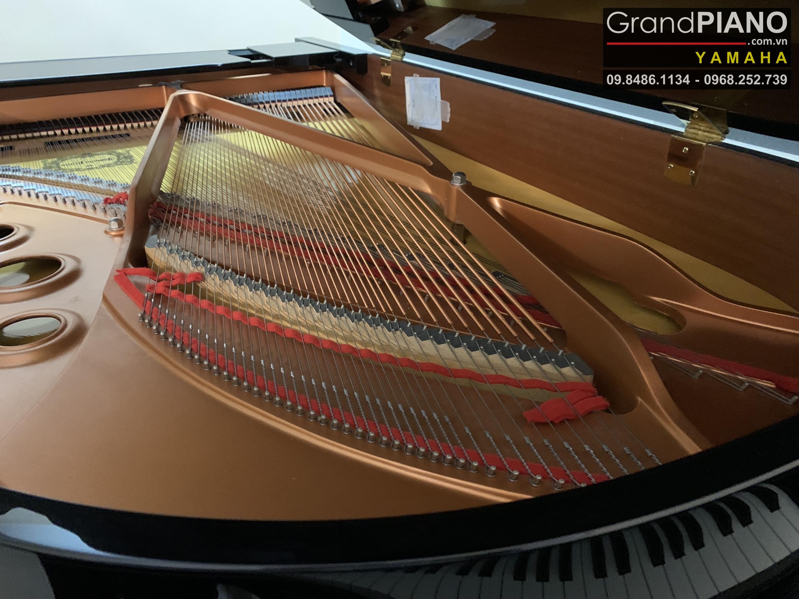Dan-Grand-PIANO-YAMAHA-C5-Seri6223471.-1371200b4357bd09e44629_GrandPIANO_result.jpg
