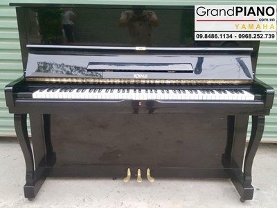 Đàn Piano ROYALE DR5B (46355) màu đen