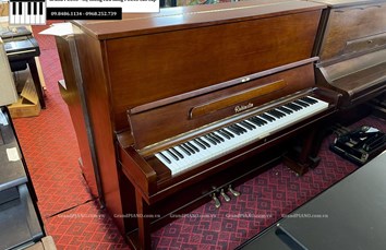 Đàn Piano cơ RUBINSTEIN 200A (2471XX)
