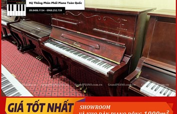 Đàn Piano cơ RUBINSTEIN RM303 [ CẬP NHẬT ]