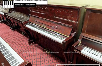 Đàn Piano cơ RUBINSTEIN RM303 (249***)