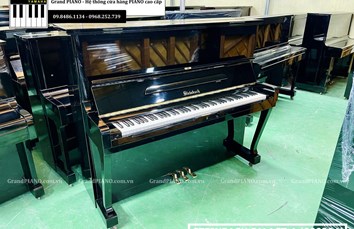 Đàn Piano cơ STEINBACH SALACT-A (800304)