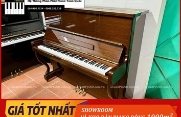 Đàn Piano cơ STEINRICH SX3 [ CẬP NHẬT ]