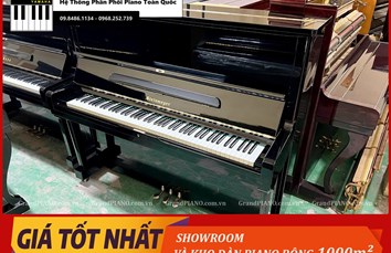 Đàn Piano cơ STEINWAYER SK2  [ CẬP NHẬT ]