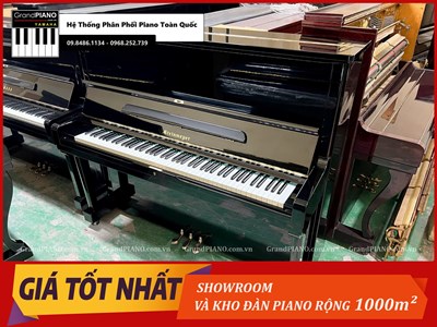 Đàn Piano cơ STEINWAYER SK2  [ CẬP NHẬT ]