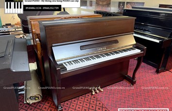 Đàn Piano cơ TONICA121 (11660)