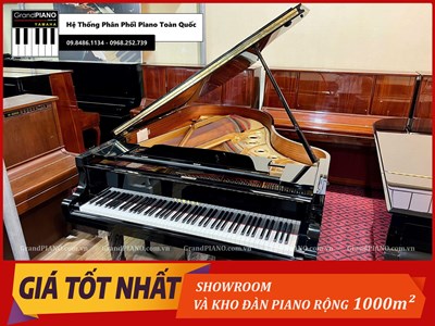 Đàn Piano cơ YAMAHA C5B  [ CẬP NHẬT ]