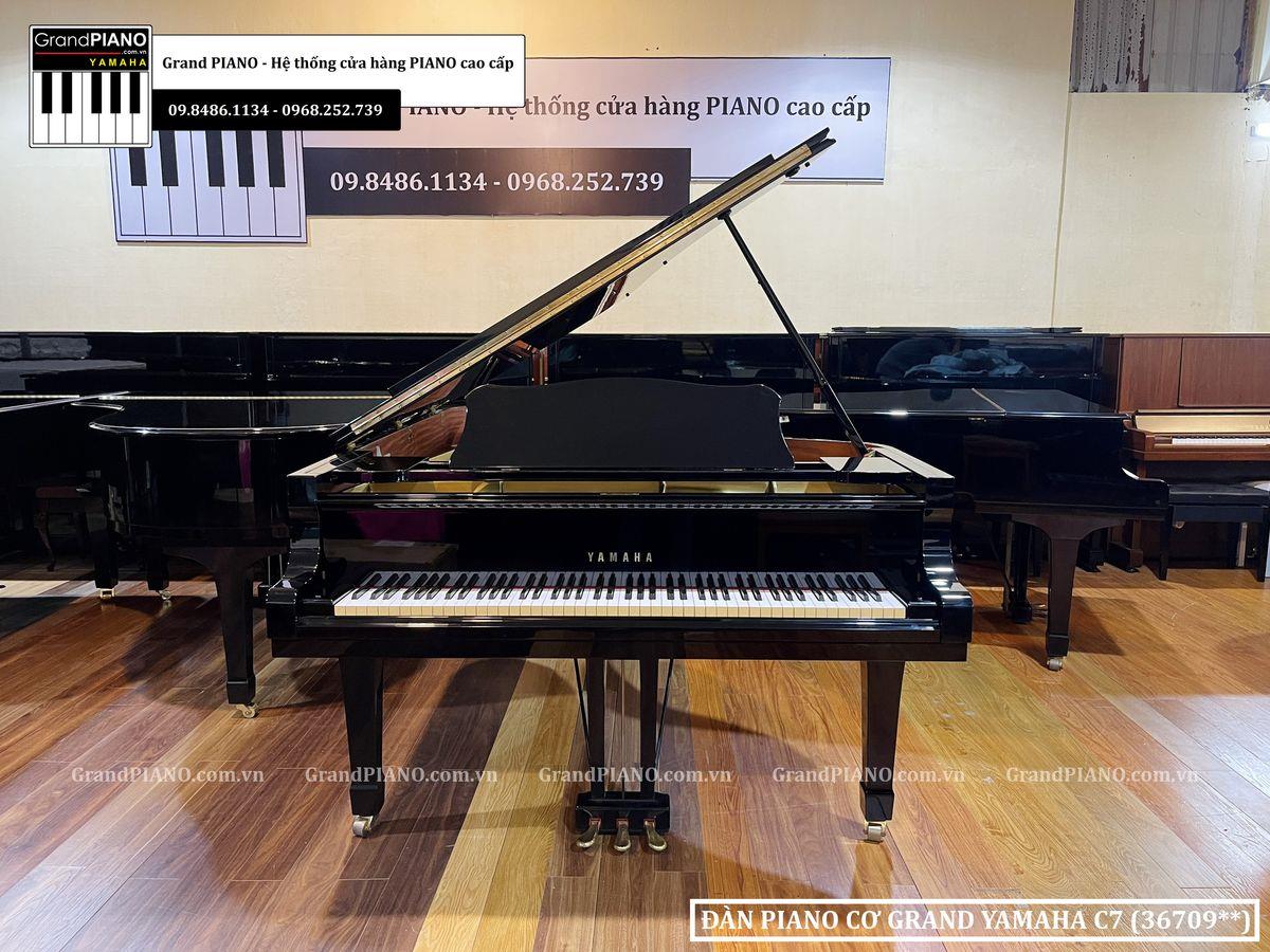 Đàn Piano cơ grand YAMAHA C7 (36709**)