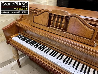 Đàn Piano cơ YOUNGCHANG BDW110