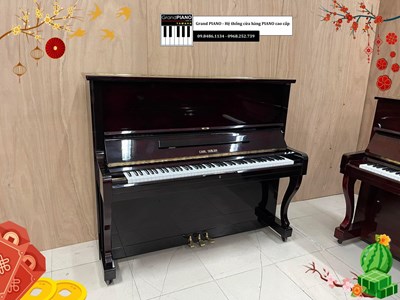 Đàn Piano cơ CARLSEILER 133D (505**) - CẬP NHẬT