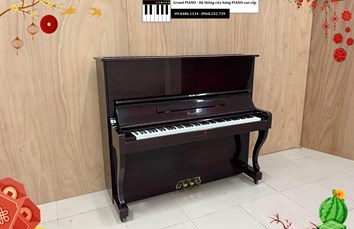 Đàn Piano cơ PRUTHNER P3 (508**) - CẬP NHẬT