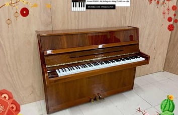 Đàn Piano cơ WEINBURG WE108P (IOLO15**) - CẬP NHẬT