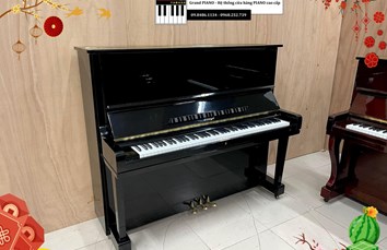 Đàn Piano cơ HORUGEL WG9 - CẬP NHẬT